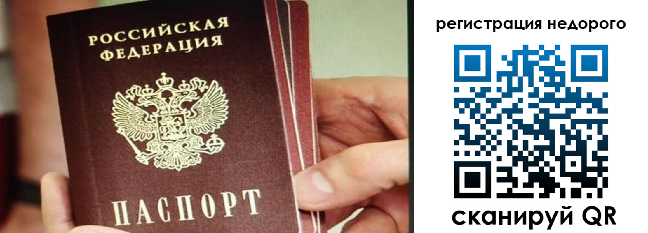 прописка в квартире в Лыткарино